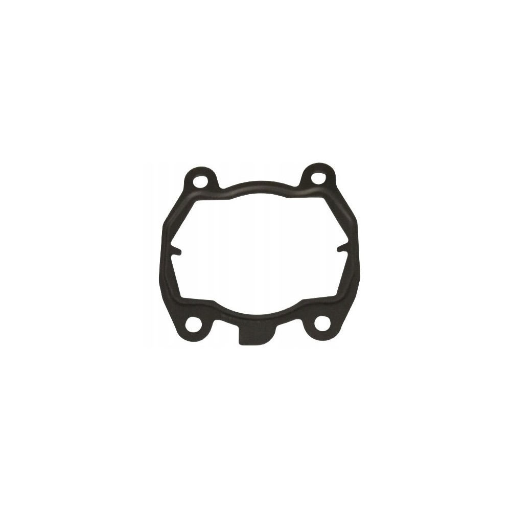 Uszczelka cylindra 4224-029-2302