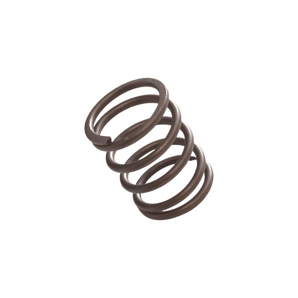 Sprężyna zaworowa 4180-025-1600