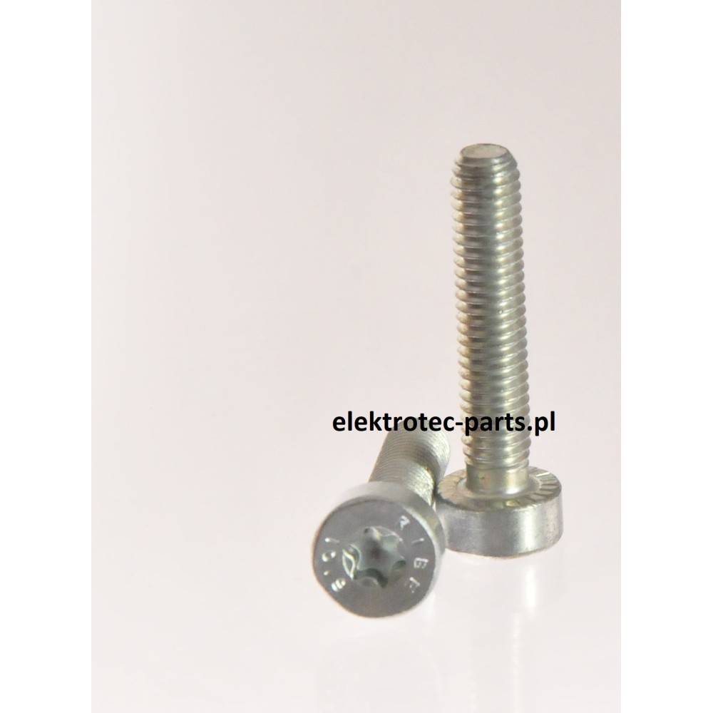 Śruba z łbem walcowym IS M6x30 9022-341-1370