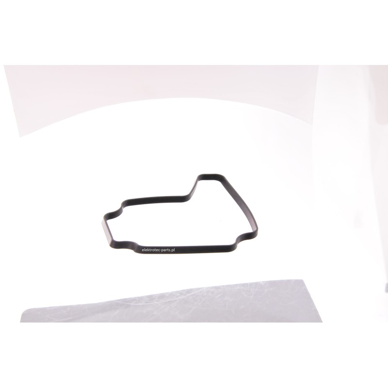 Uszczelka 4138-351-1000