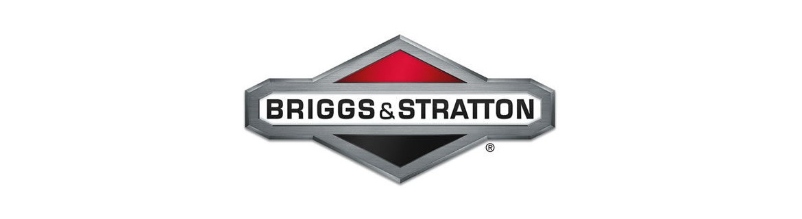 Briggs&Stratton